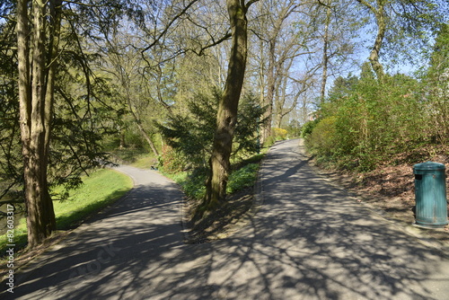 Chemin se divisant en deux au parc Seny à Bruxelles photo