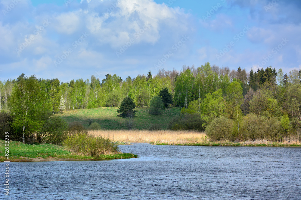 Beautiful spring landscape with lake Beautiful spring landscape with lake