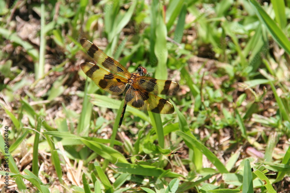 Halloween Pennant