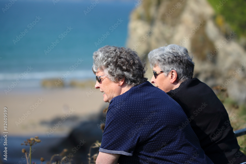 Elderly twin sisters look out to the ocean