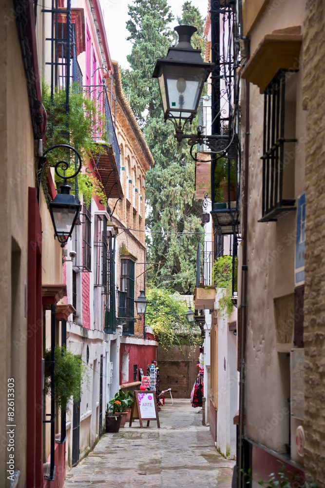 Street in Seville, near the Reales Alcazares gardens.