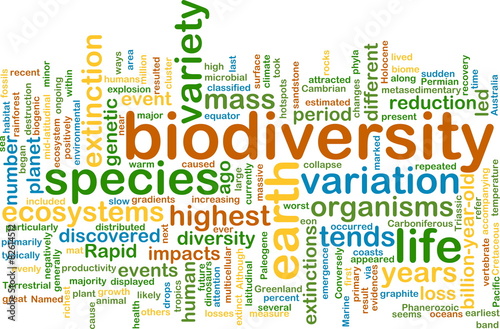 biodiversity wordcloud concept illustration