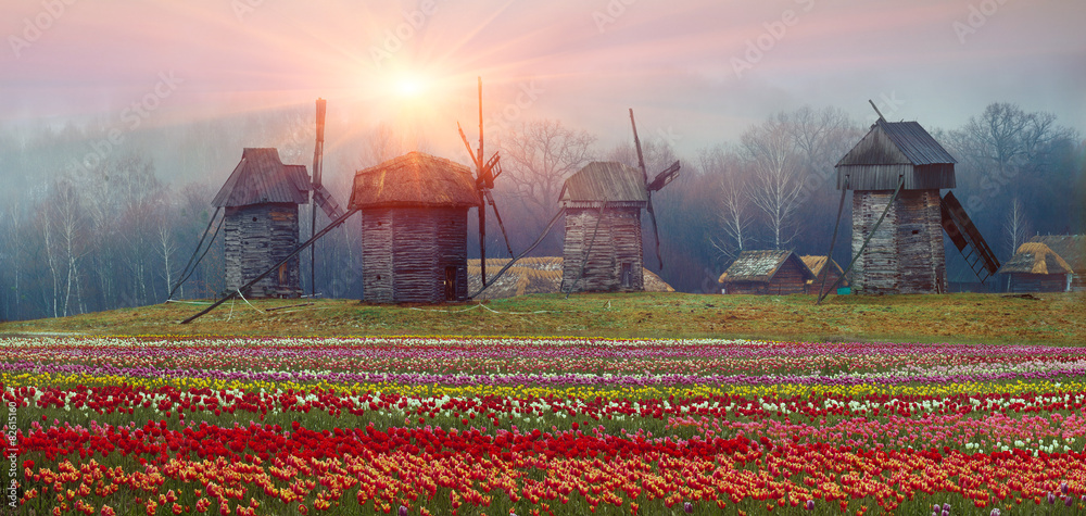 Obraz premium Wooden wind mill