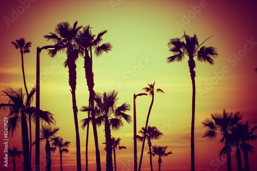 California City Palms