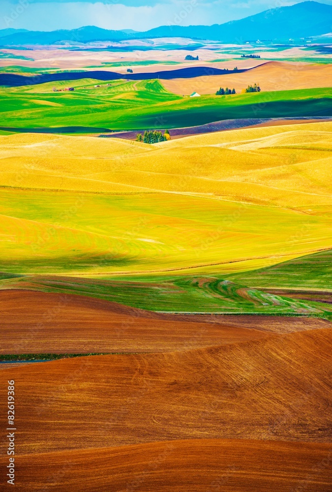 Colorful Butted Farmlands