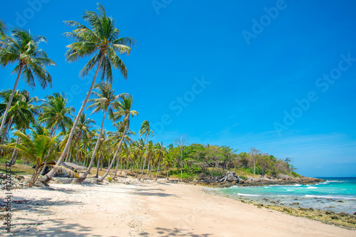 Palm trees over beautiful tropical white sand beach