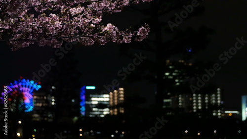 Wallpaper Mural 都会の街灯りを彩る夜桜の風景 Torontodigital.ca