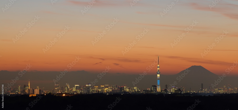 Tokyo city view with Tokyo sky tree and Mountain Fuji.