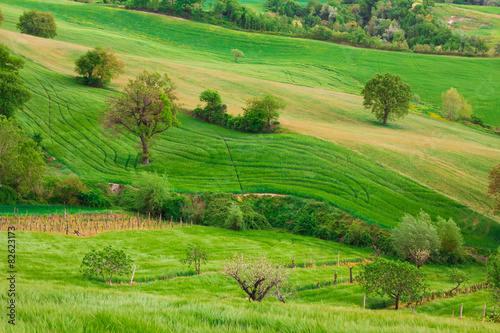 Paesaggio collinare rurale nella regione Marche  Italia