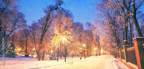 Canvas-taulu Mariinsky garden during inclement weather