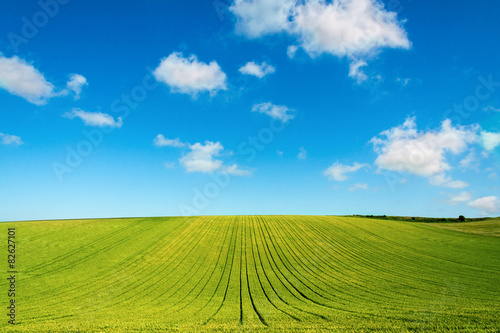 green field and blue sky with clouds in Picardy, France, Europe © jiduha