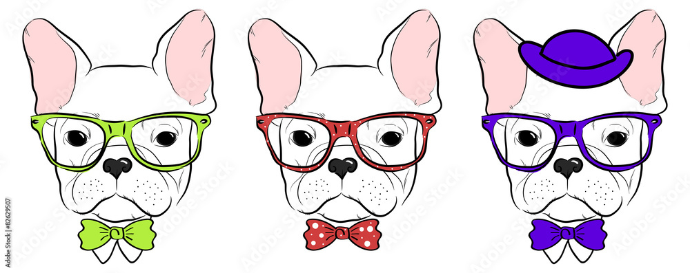 Obraz premium set of cute bulldog muzzles in glasses with bow tie and hat