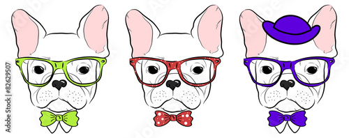 set of cute bulldog muzzles in glasses with bow tie and hat