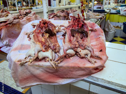 kui guinea pigs at the market, Areqipa Peru photo