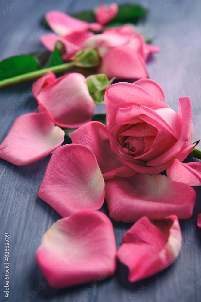 Beautiful pink petals of roses on color wooden table, closeup