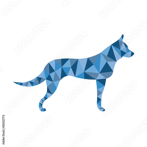 Dog in polygons
