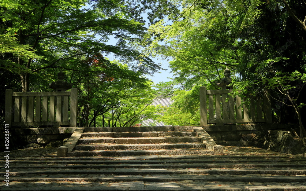 Obraz premium 光明寺の新緑