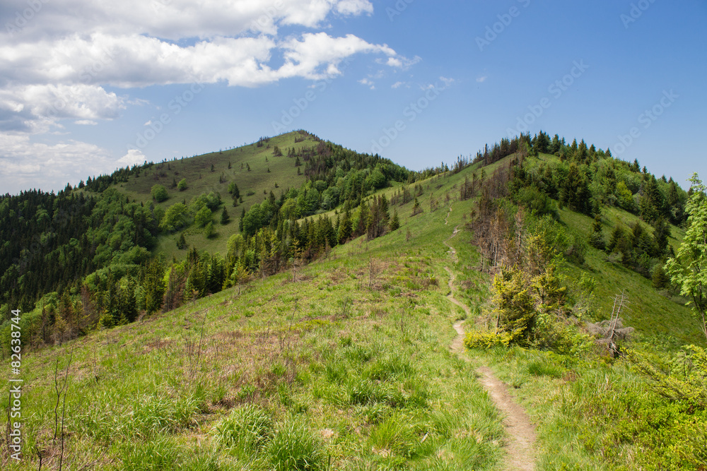 path in green summer mountains with white cloudy blue sky