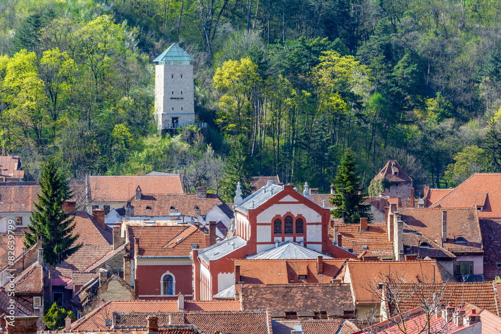 The black tower(Turnul negru) over the rooftops The black tower(Turnul negru) over the rooftops