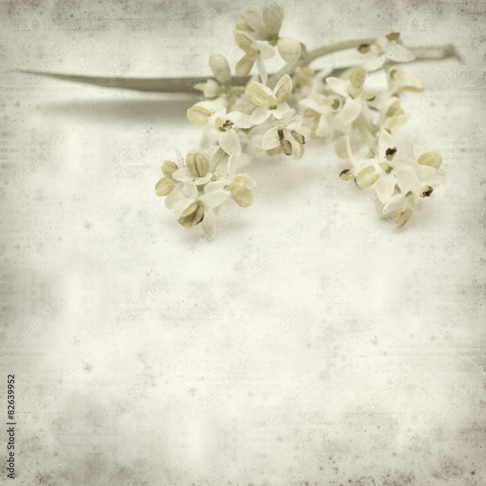 textured old paper background textured old paper background