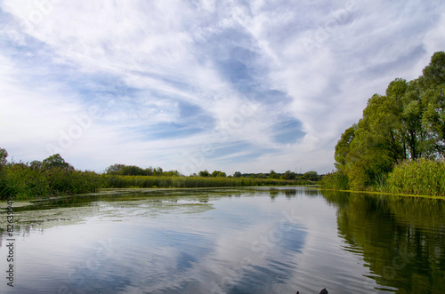 Summer landscape with a river