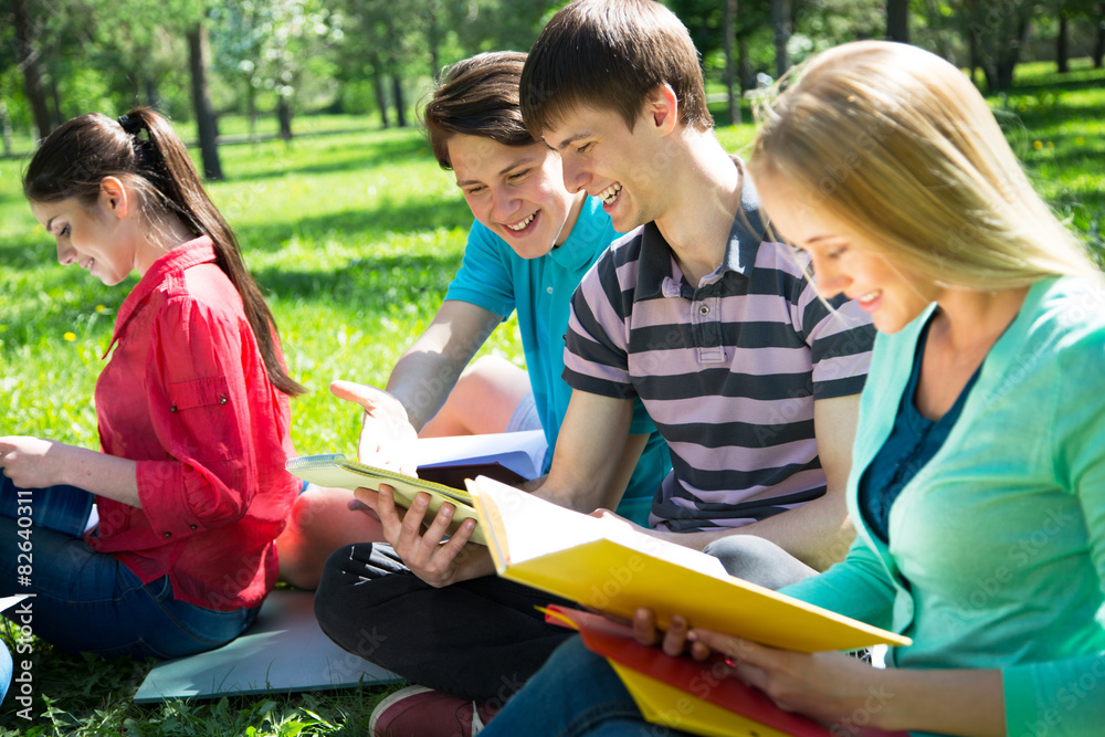 Group of students studying together Group of students studying together