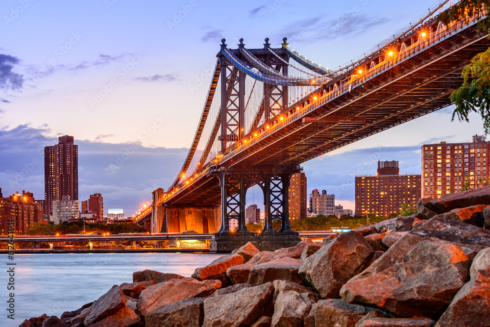 Fototapeta premium Manhattan Bridge Cityscape