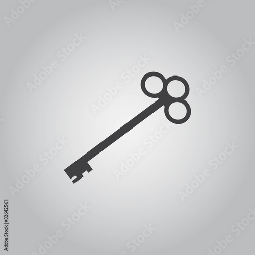 Key icon