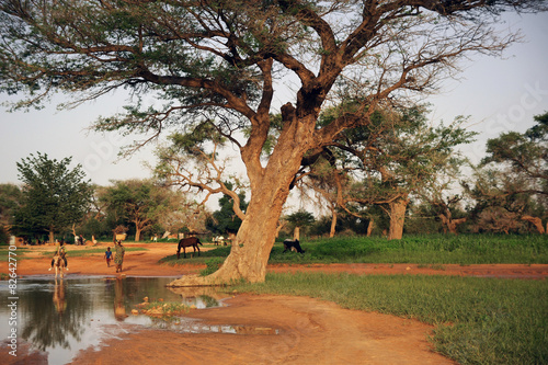 Paisaje africano photo