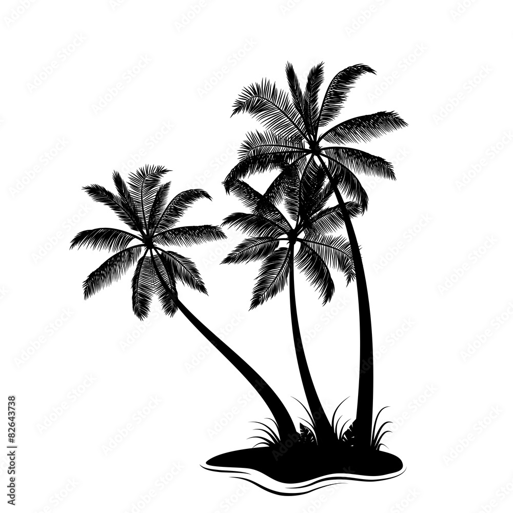 Palm trees silhouette isolated on white