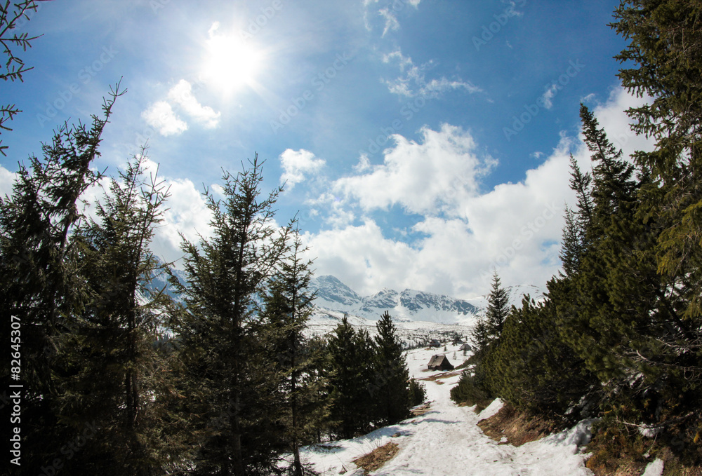 Tatry