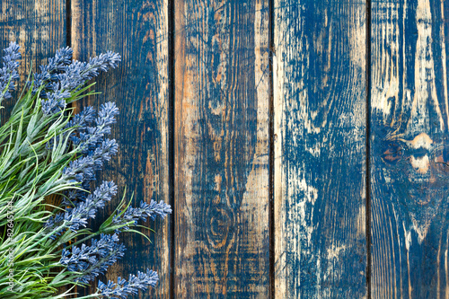 Fototapeta Naklejka Na Ścianę i Meble -  Lavender