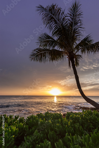 Hawaiian sunset (Paradise Cove, Hawaii)