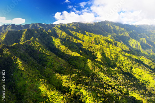 Stunning aerial view of spectacular jungles, Kauai © MNStudio