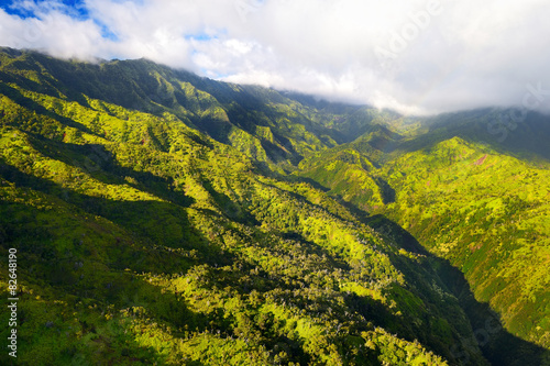 Stunning aerial view of spectacular jungles  Kauai