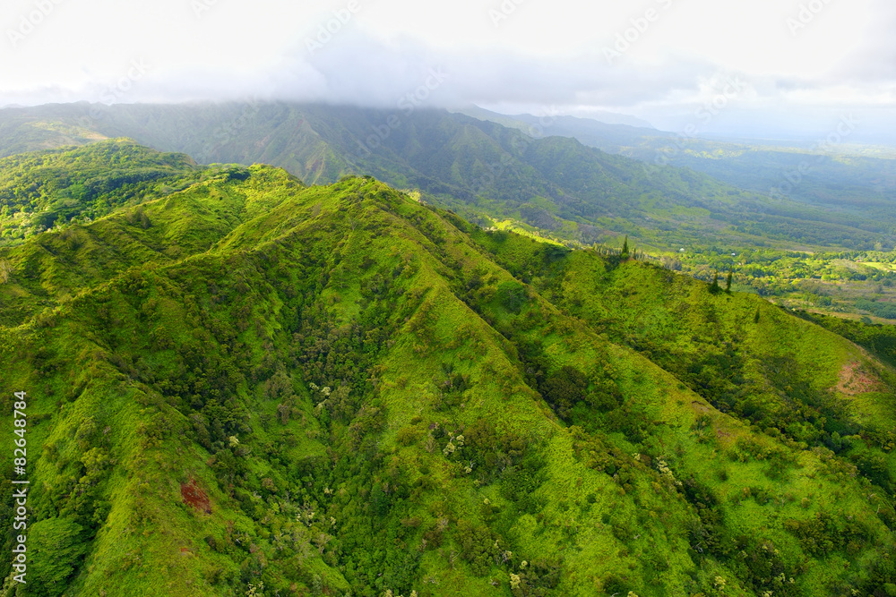 Obraz premium Stunning aerial view of spectacular jungles, Kauai