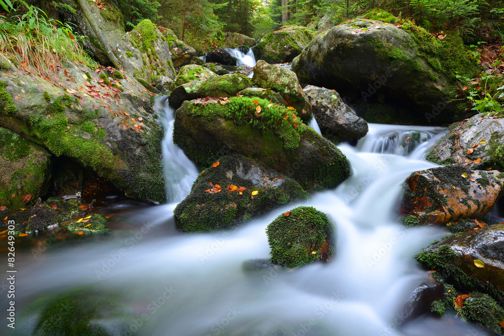 Mountain creek in the national park Sumava-Czech Republic Mountain creek in the national park Sumava-Czech Republic