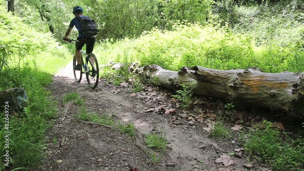 mountain bicycle riding in the woods