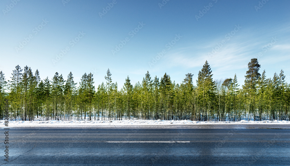 Naklejka premium road in winter forest