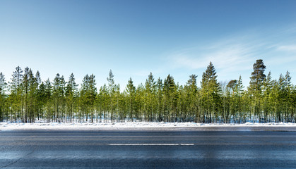 road in winter forest