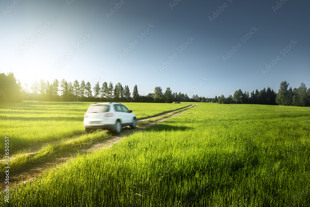 Fototapeta premium spring field and blurred car on ground road