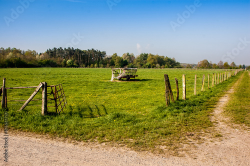 Landwirtschaft - Weideland