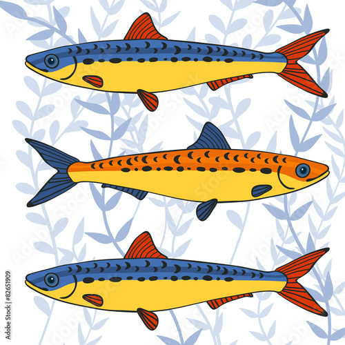 Colorful sardines collection