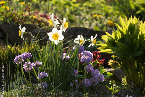 Sunlit spring garden
