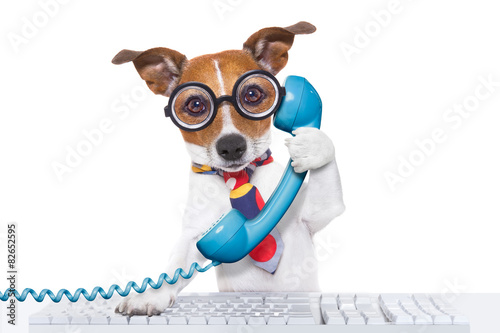 dog on the phone © Javier brosch