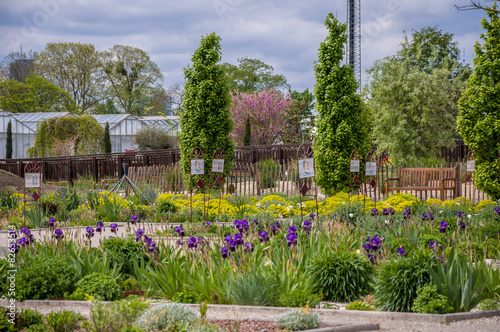 Hirschstetten Botanical Gardens, Vienna
