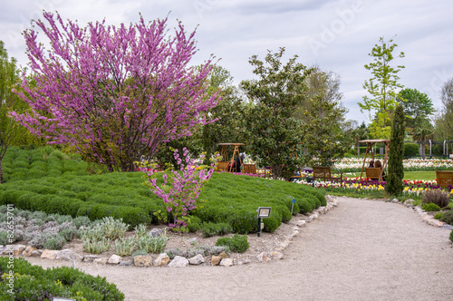 Hirschstetten Botanical Gardens, Vienna