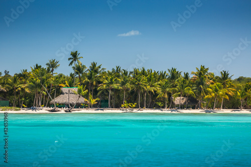 Fototapeta Naklejka Na Ścianę i Meble -  Palm trees on the tropical beach, Dominican Republic