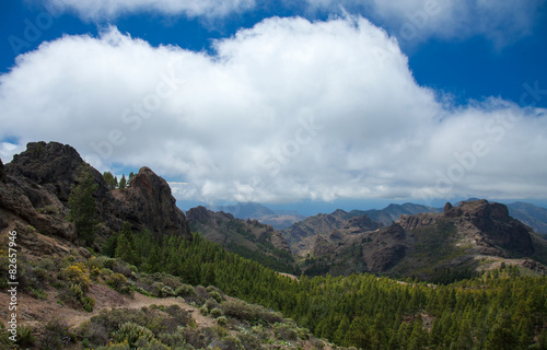 Gran Canaria  Las Cumbres - the highest areas of the island