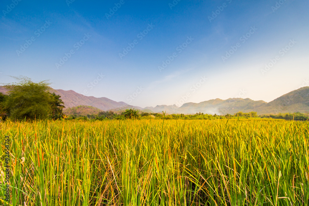 Bamboo bridge near reservoir with mountain and sky view